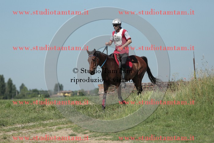MAT_9793.JPG