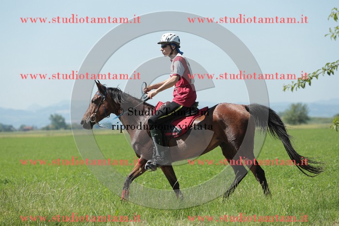 MAT_9795.JPG
