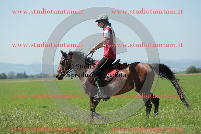 MAT_9796.JPG
