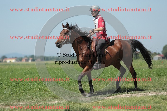 MAT_9799.JPG