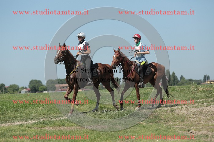 MAT_9822.JPG