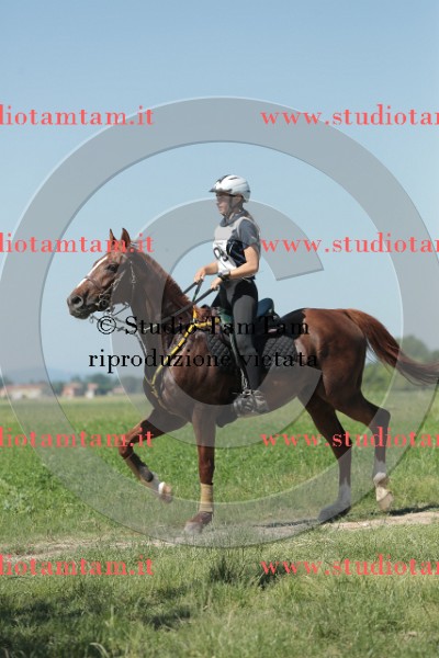 MAT_9823.JPG