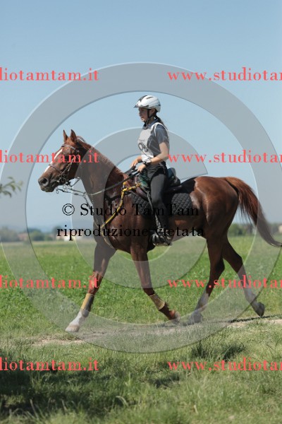 MAT_9824.JPG