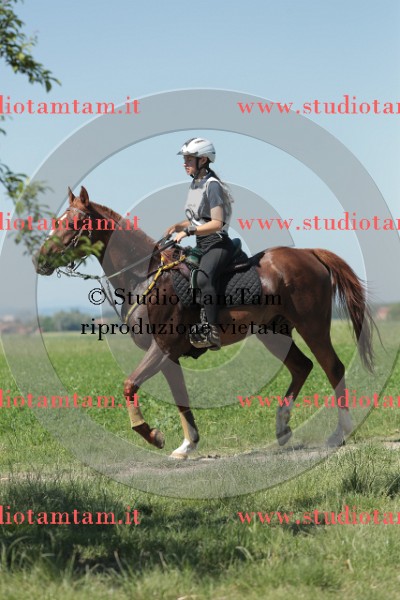MAT_9825.JPG