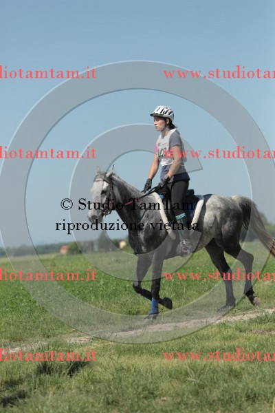 MAT_9830.JPG