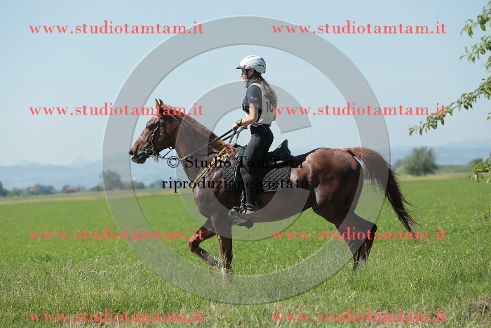 MAT_9831.JPG