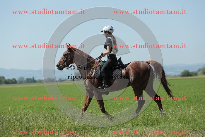 MAT_9832.JPG