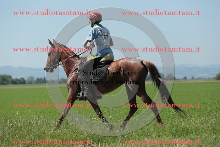 MAT_9835.JPG