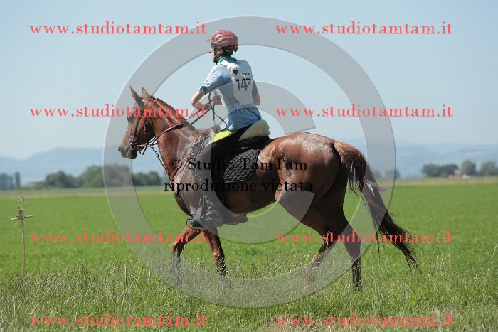 MAT_9836.JPG