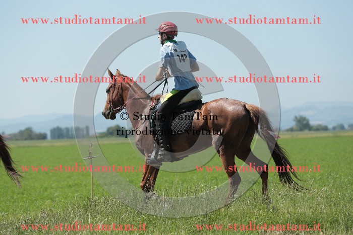 MAT_9837.JPG