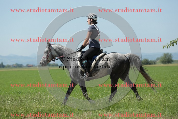 MAT_9838.JPG