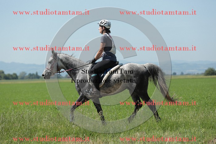 MAT_9839.JPG