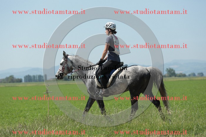 MAT_9841.JPG