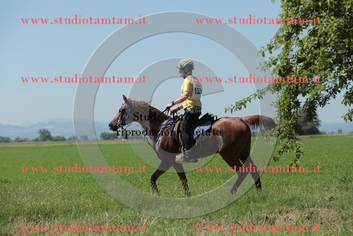 MAT_9846.JPG
