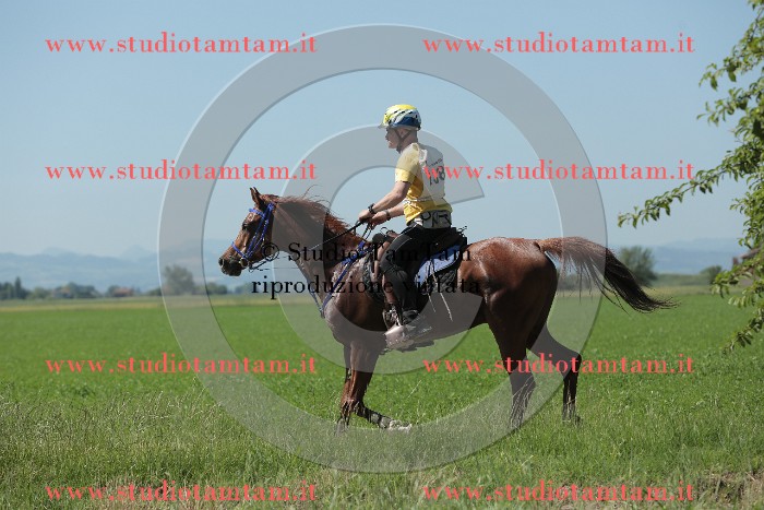 MAT_9847.JPG