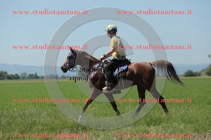 MAT_9848.JPG