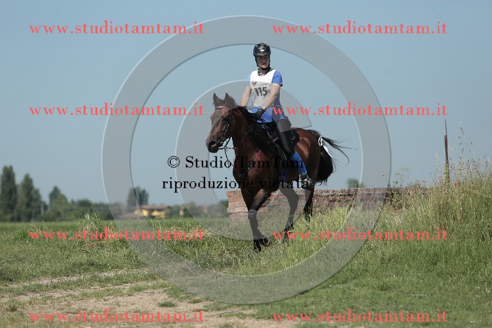 MAT_9850.JPG