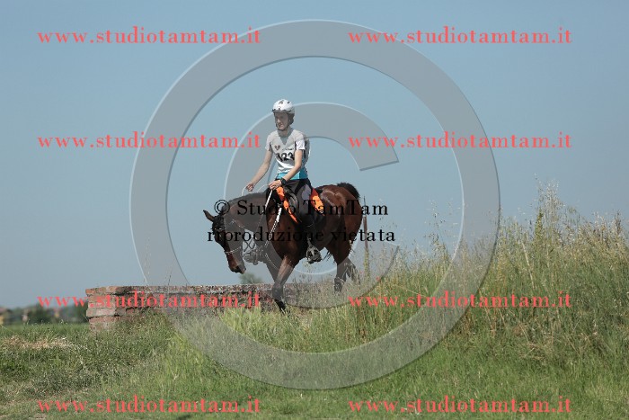 MAT_9852.JPG