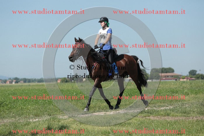 MAT_9853.JPG