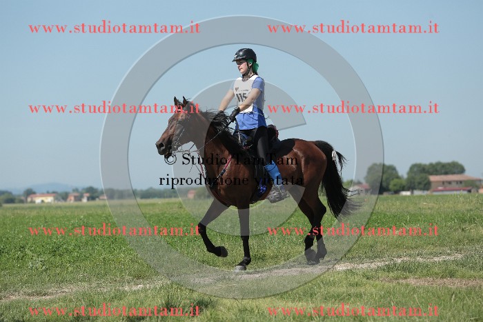 MAT_9854.JPG