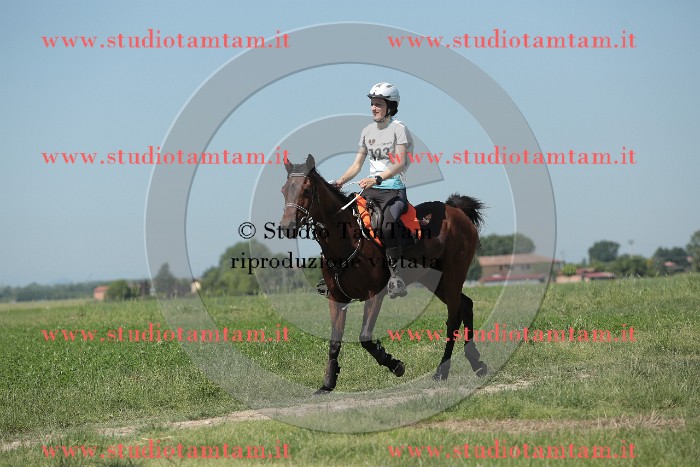 MAT_9856.JPG