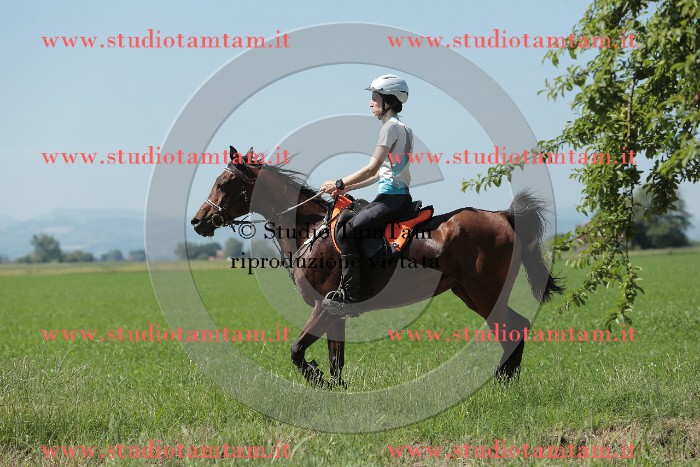 MAT_9857.JPG