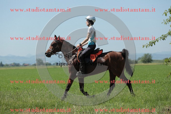 MAT_9858.JPG