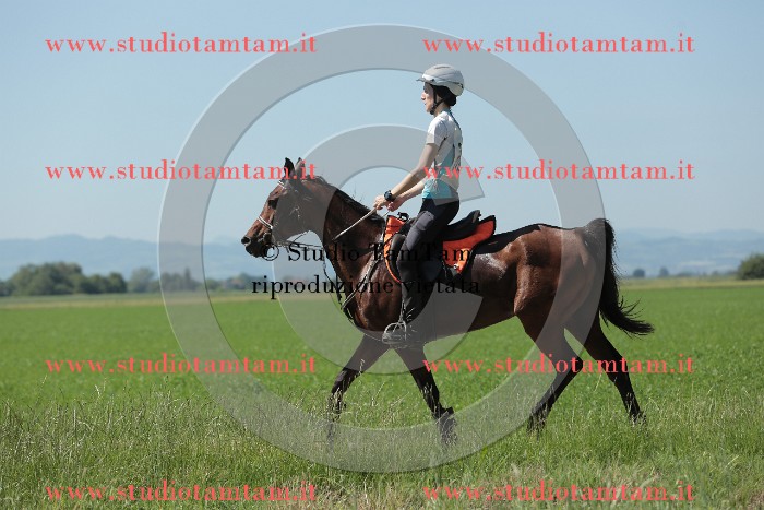 MAT_9859.JPG