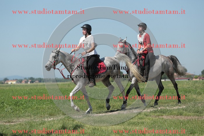 MAT_9862.JPG