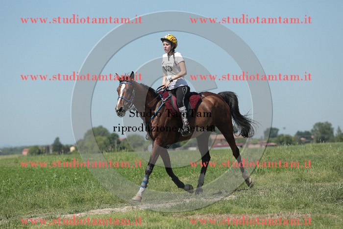MAT_9864.JPG