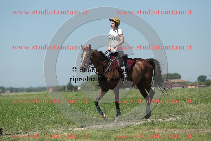 MAT_9865.JPG