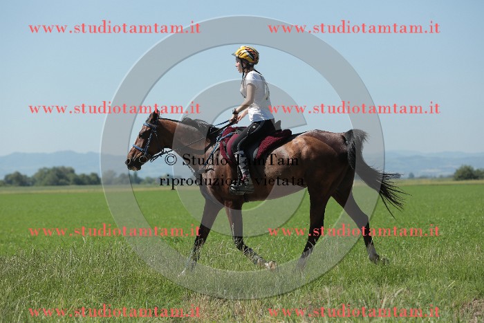 MAT_9867.JPG