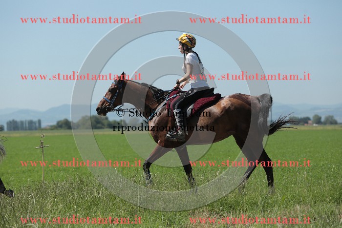 MAT_9868.JPG