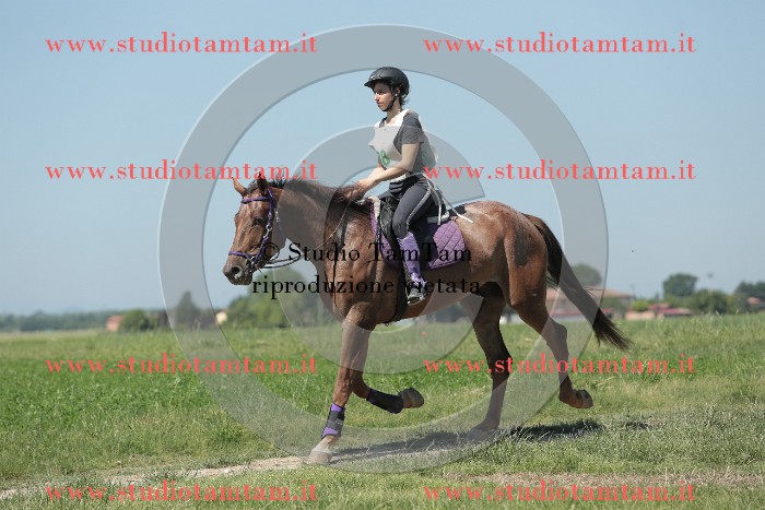 MAT_9869.JPG