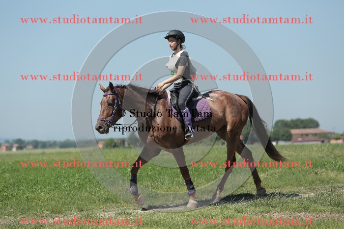 MAT_9870.JPG