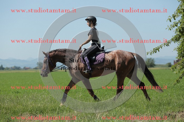 MAT_9871.JPG