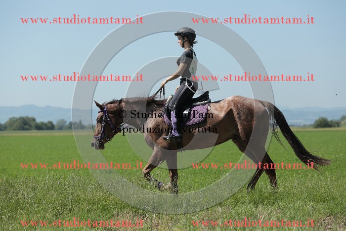MAT_9872.JPG