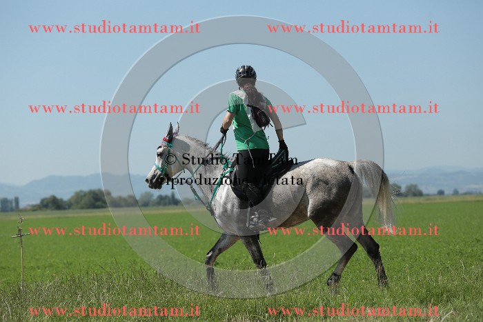MAT_9876.JPG