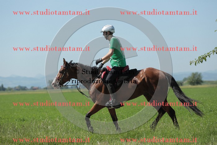 MAT_9877.JPG