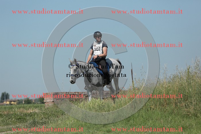 MAT_9878.JPG