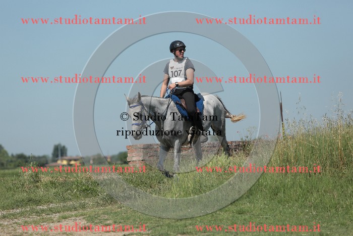 MAT_9879.JPG