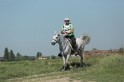 MAT_9688