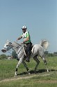MAT_9690