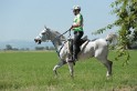 MAT_9692
