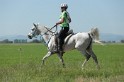 MAT_9695