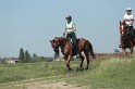 MAT_9756