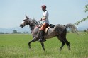 MAT_9775