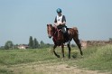 MAT_9782