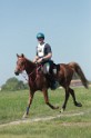 MAT_9785