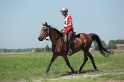 MAT_9798
